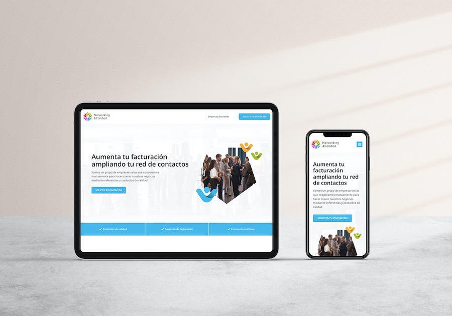 Diseño web Networking y Calidad